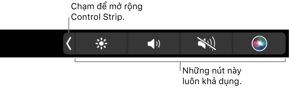 Một phần màn hình của Touch Bar mặc định, đang hiển thị Control Strip được thu gọn với các nút luôn khả dụng: độ sáng, âm lượng và tắt tiếng. Chạm nút mở rộng để hiển thị Control Strip đầy đủ.