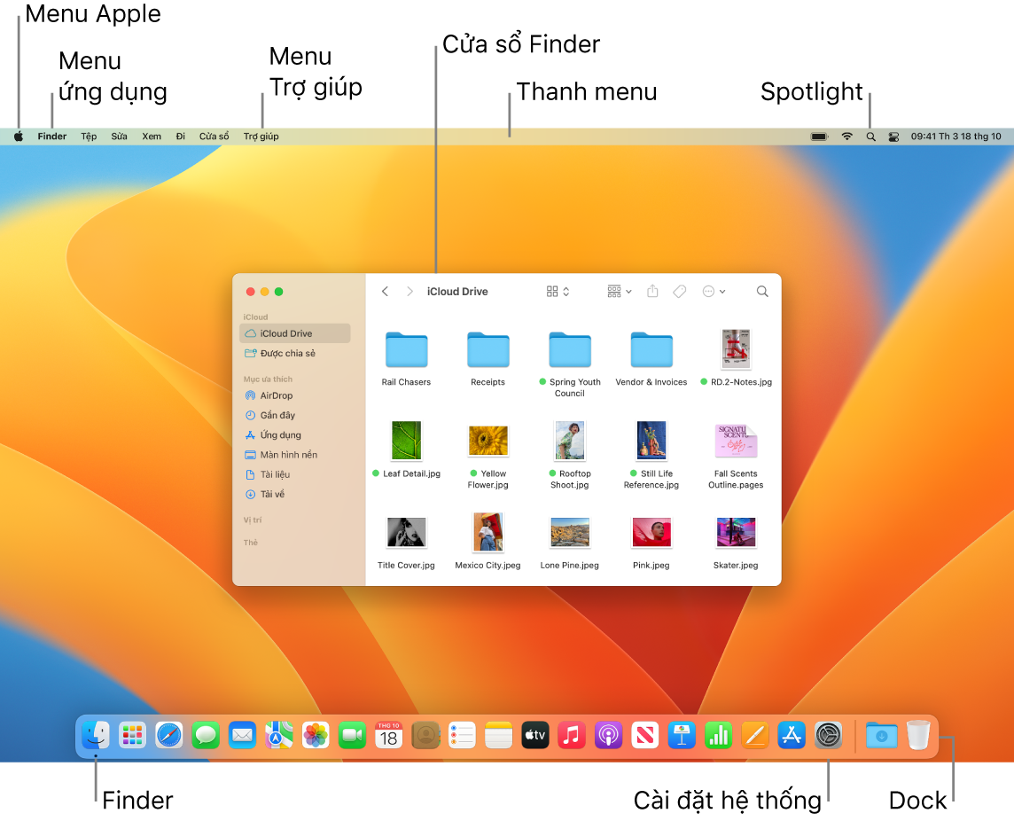 Một màn hình hiển thị máy Mac đang được hiển thị thực đơn Apple, thực đơn Ứng dụng, thực đơn Trợ gom, một hành lang cửa số Finder, thanh thực đơn, hình tượng Spotlight, hình tượng Finder, hình tượng Cài đặt điều khối hệ thống và Dock.