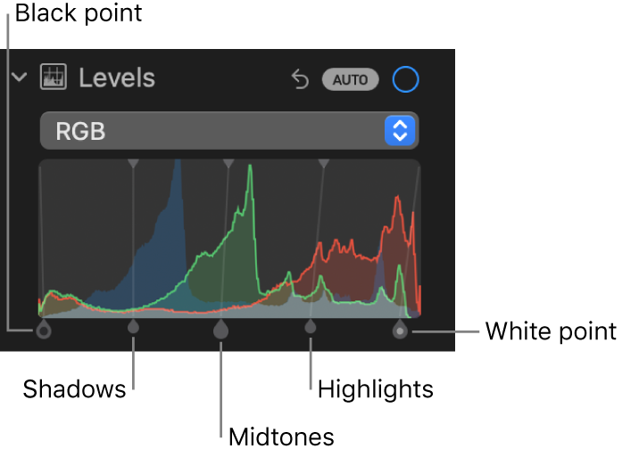 The Levels controls in the Adjust pane, showing the RGB histogram with handles below, including (from left to right) black point, shadows, midtones, highlights, and white point.