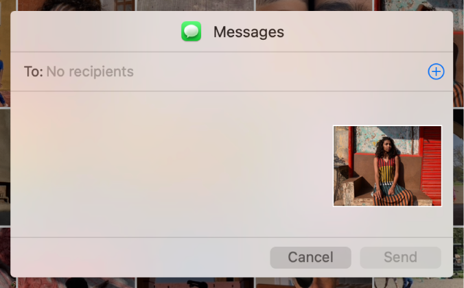 A dialog for adding recipients when sharing photos from the Photos app using Messages.