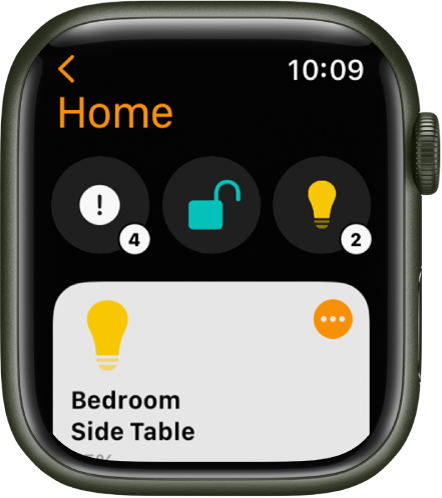 The Home app showing status icons at the top and an accessory below.
