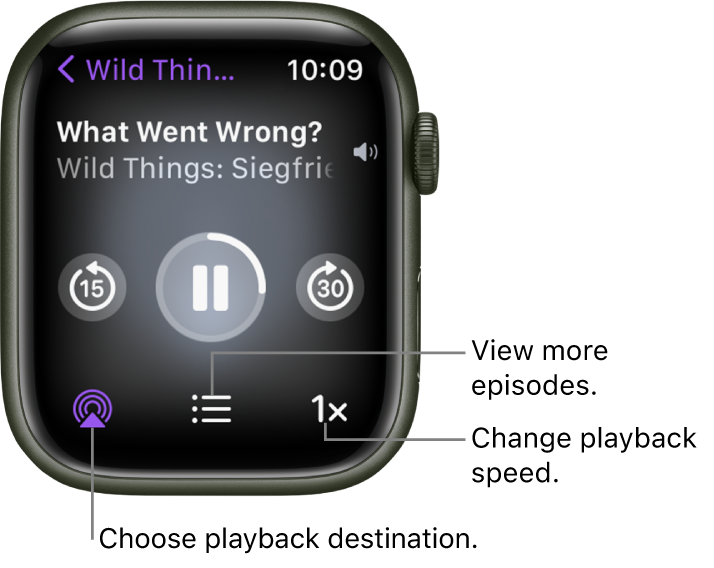 A Podcasts Now Playing screen showing the show title, episode title, date, skip-back-15-seconds button, pause button, skip-ahead-30-seconds button, AirPlay button, episodes button, and playback speed button.