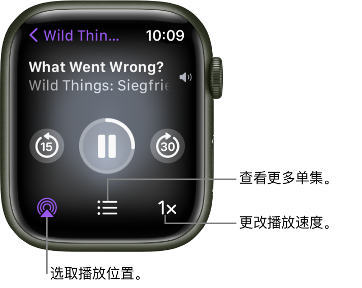“播客”的“播放中”屏幕,显示节目标题、单集标题、日期、向后跳 15 秒按钮、暂停按钮、向前跳 30 秒按钮、隔空播放按钮、单集按钮以及播放速度按钮。