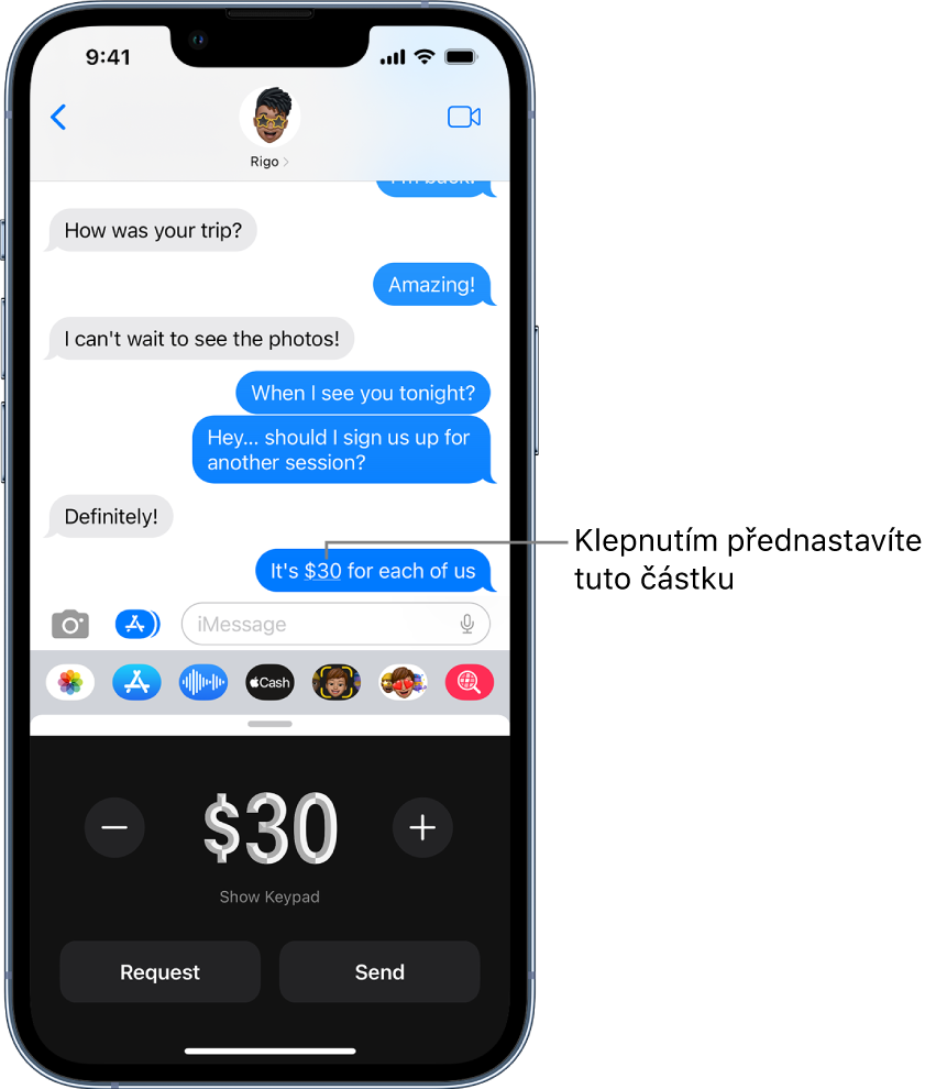 Konverzace iMessage s otevřeným panelem Apple Pay v dolní části