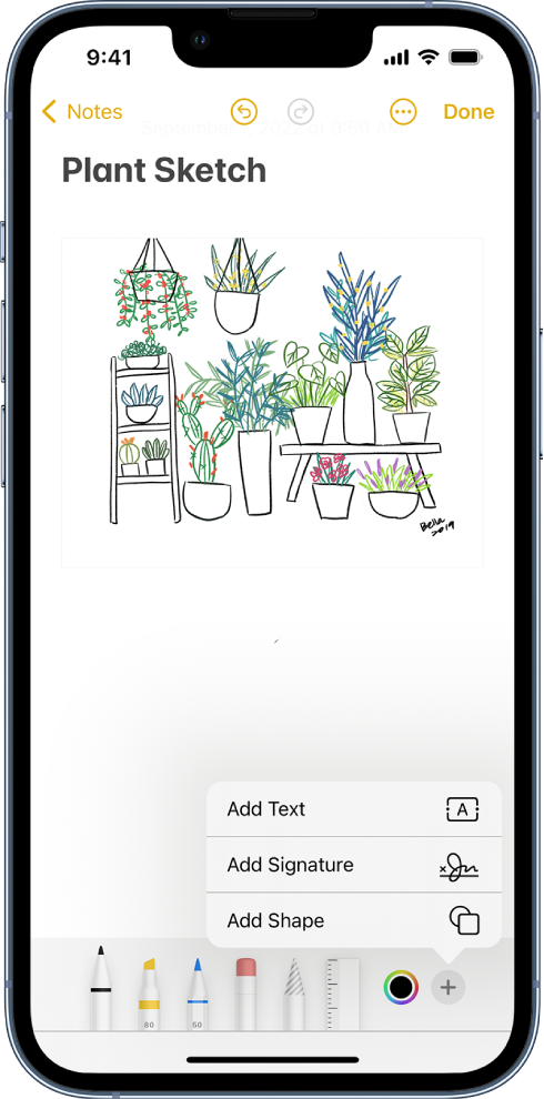 Draw in apps with Markup on iPhone - Apple Support