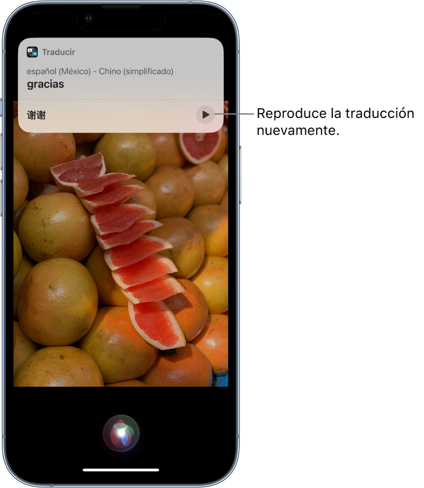Siri muestra una traducción de la frase en español “gracias” a chino mandarín. Hay un botón debajo de la traducción que vuelve a reproducir el audio de la traducción.