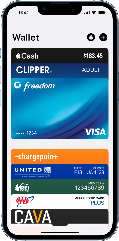 Layar Dompet, menampilkan beberapa kartu pembayaran dan pass.