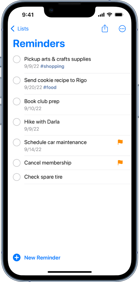 Uma tela do app Lembretes mostrando uma lista de tarefas. O botão Novo Lembrete está na parte inferior esquerda.