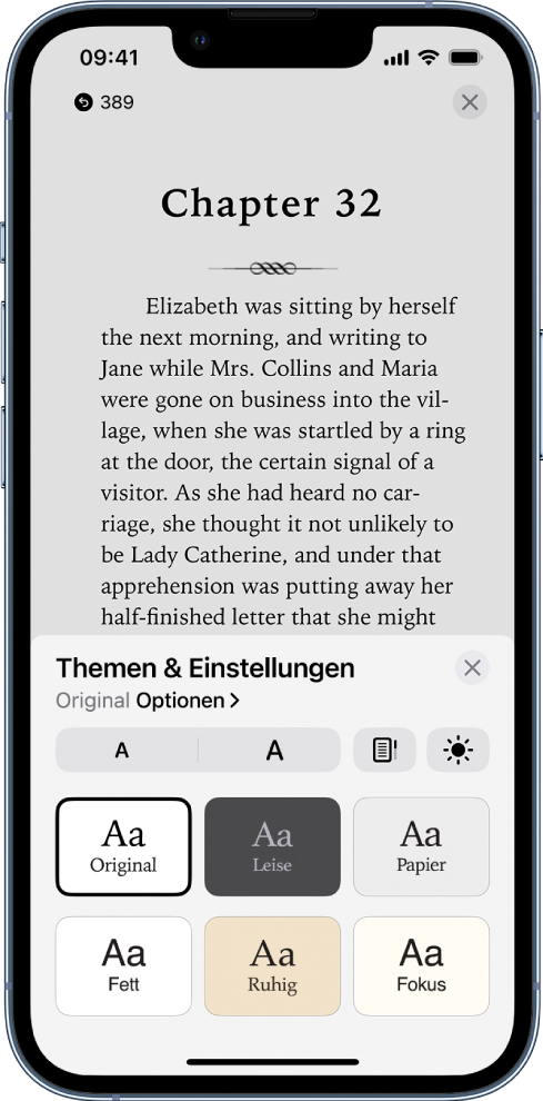 Das Menü „Themen & Einstellungen“ mit Steuerelementen für die Schriftgröße, die Scrollansicht und die Helligkeit sowie Schriftoptionen.