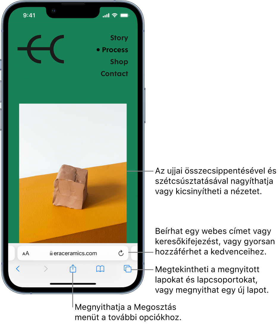 Megnyitott webhely a Safariban, alul a címmezővel. Alul balról jobbra haladva a következő gombok láthatók: Vissza, Előre, Megosztás, Könyvjelzők és Lapok.