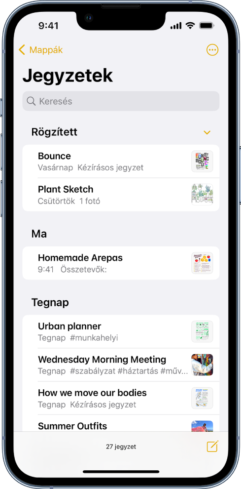 A jegyzetlista, tetején a keresőmezővel.