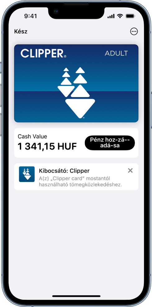 Tömegközlekedési kártya a Tárca képernyőjén. A kártyaegyenleg középen jelenik meg a Pénz hozzáadása gomb mellett.