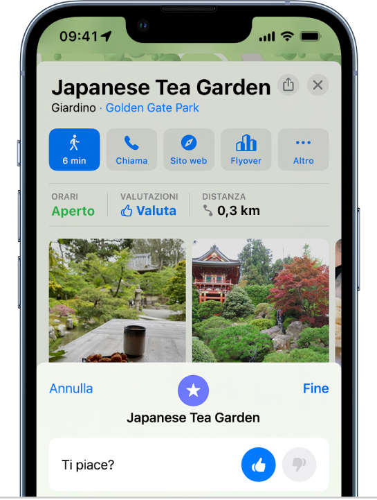 La scheda informativa di un luogo con un pollice verso l'alto come valutazione complessiva.