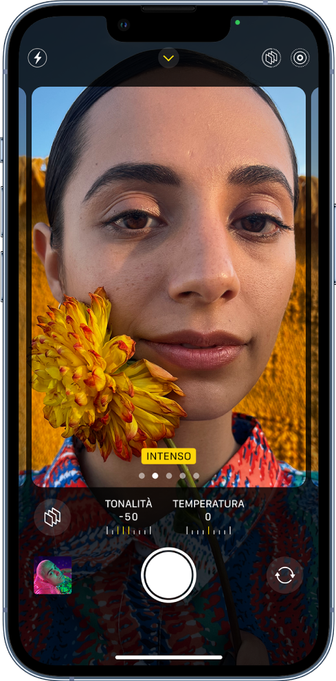 L'app Fotocamera è aperta ed è visibile la schermata degli stili fotografici. Nell'angolo in alto a sinistra della schermata si trova il pulsante Flash. In alto al centro è presente il pulsante “Controlli fotocamera”; il pulsante è attivato. Nell'angolo in alto a destra sono presenti i pulsanti “Stili fotografici attivi” e Live Photo. Lo stile “Contrasto elevato” nell'inquadratura della fotocamera riempie lo schermo. Sotto l'inquadratura della fotocamera sono presenti i pulsanti degli stili, i cursori per regolare i valori di tonalità e temperatura e il pulsante per ripristinare gli stili. Nella parte inferiore dello schermo sono visibili, da sinistra a destra, il pulsante per visualizzare le foto e i video, il pulsante di scatto e il selettore per la fotocamera posteriore.
