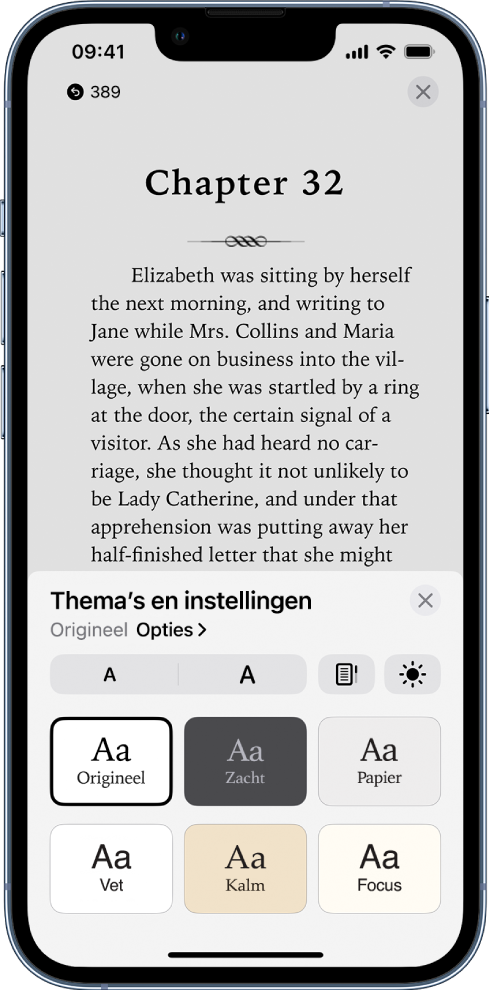 Het menu 'Thema's en instellingen', met regelaars voor de lettergrootte, de schuifweergave, de helderheid en lettertypeopties.