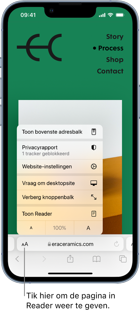 Het menu 'Pagina-instellingen'. Onder in het menu staat de optie 'Toon Reader'.