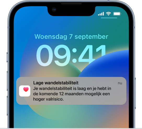 Het toegangsscherm met een melding 'Lage wandelstabiliteit'.