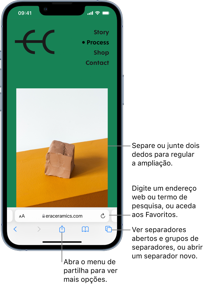 Um site aberto no Safari, com o campo de endereço no fundo da página. Ao fundo, da esquerda para a direita, estão os botões Voltar, Avançar, Partilhar e Separadores.