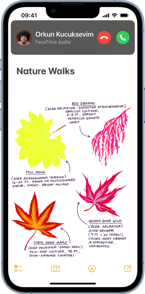 Um ecrã que mostra uma notificação em faixa de uma chamada na parte superior. Os botões “Recusar” e “Aceitar” encontram‑se na parte superior direita. A parte inferior é um site no Safari.