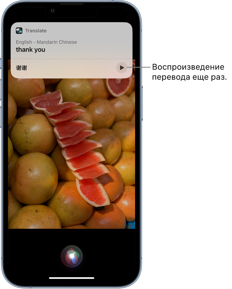 Siri отображает перевод английской фразы «спасибо» на французский. С помощью кнопки в нижней части перевода можно еще раз озвучить перевод.