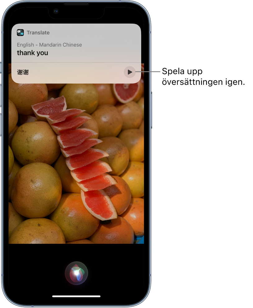 Siri visar en översättning av den engelska frasen thank you på mandarin. Längst ned finns en knapp som du kan trycka på om du vill höra översättningen igen.