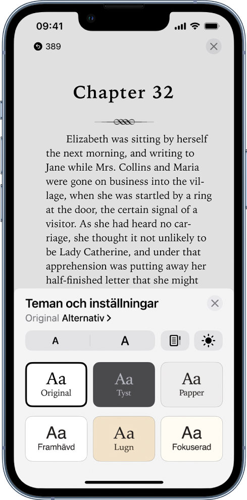 Menyn Teman och inställningar med reglage för typsnittsstorlek, rullningsvy, ljusstyrka och alternativ för typsnitt.