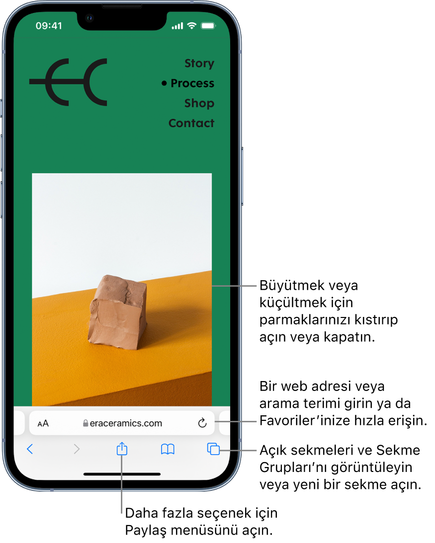 Safari’de açık bir web sitesi; adres alanı en altta. En altta, soldan sağa doğru Geri, İleri, Paylaş, Yer İşaretleri ve Sekmeler düğmeleri var.