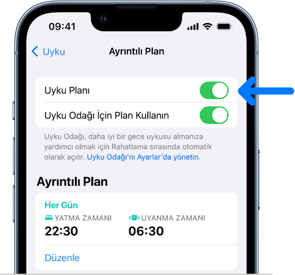 En üstte Uyku Planı açılmış olan Ayrıntılı Plan ekranı.