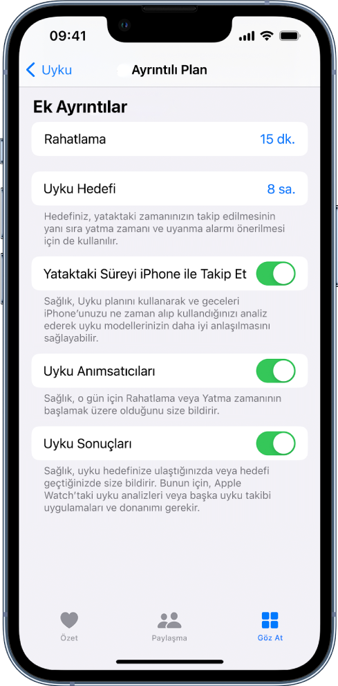 Ayrıntılı Plan ekranının Ek Ayrıntılar bölümü.