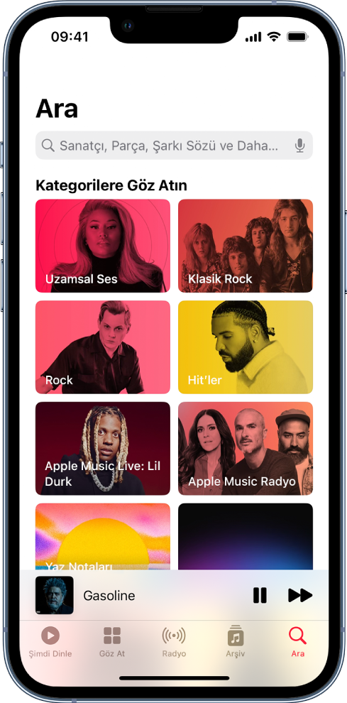 En üstte arama alanını gösteren Ara ekranı. Onun altındaki Kategorilere Göz Atın bölümü sekiz kategori gösteriyor.