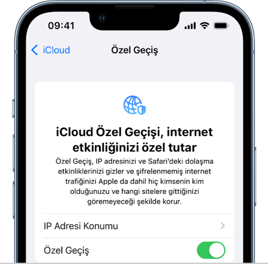 Özel Geçiş’i açıp kapatmak için Ayarlar ekranı.