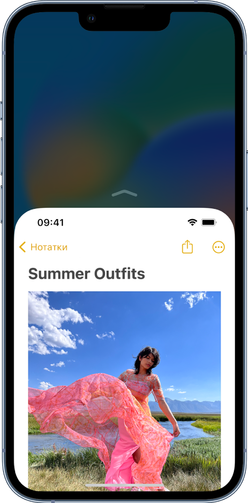 Екран iPhone з увімкненою функцією «Досяжність». Верхня частина екрана посунута донизу, тому її легко можна торкнути великим пальцем.