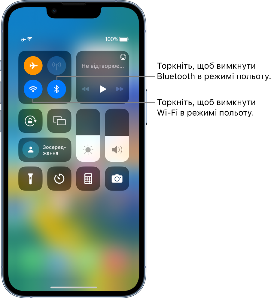 Центр керування з увімкненим режимом польоту. У групі елементів керування, розташованій зверху ліворуч, розташовані кнопки Wi-Fi (унизу зліва) і Bluetooth (унизу справа).