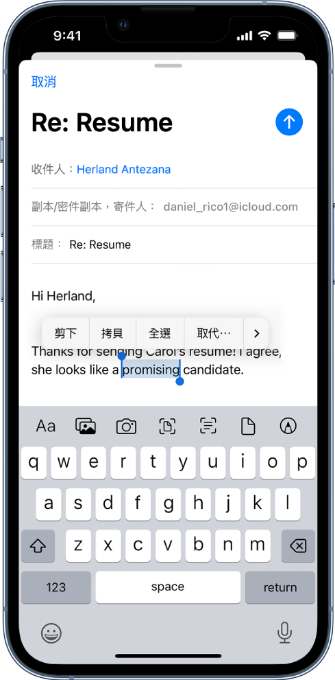 範例電子郵件，其中部分文字已選取。所選範圍上方為「剪下」、「拷貝」、「貼上」以及「取代」按鈕。已選取文字為反白，且兩端有控點。