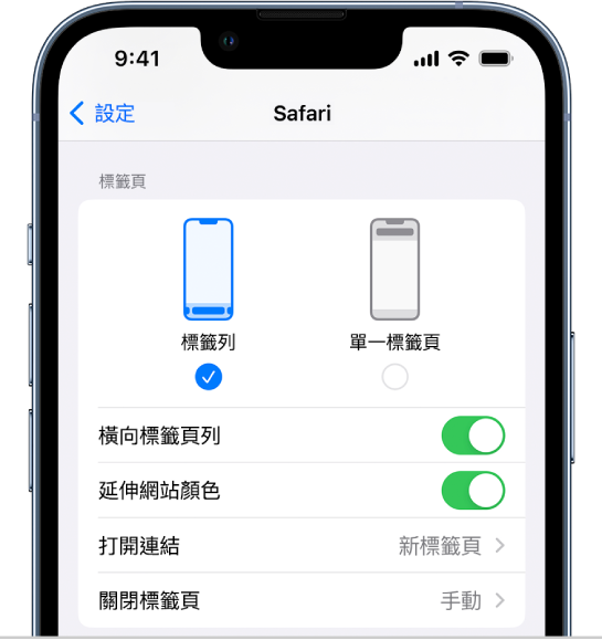 顯示兩個 Safari 佈局選項的螢幕：「標籤頁列」和「單一標籤頁」。