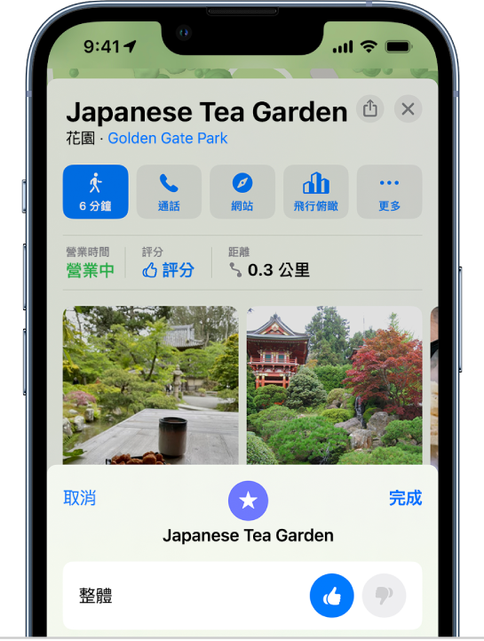 對該地點的政體評價豎起大拇指的地點卡。