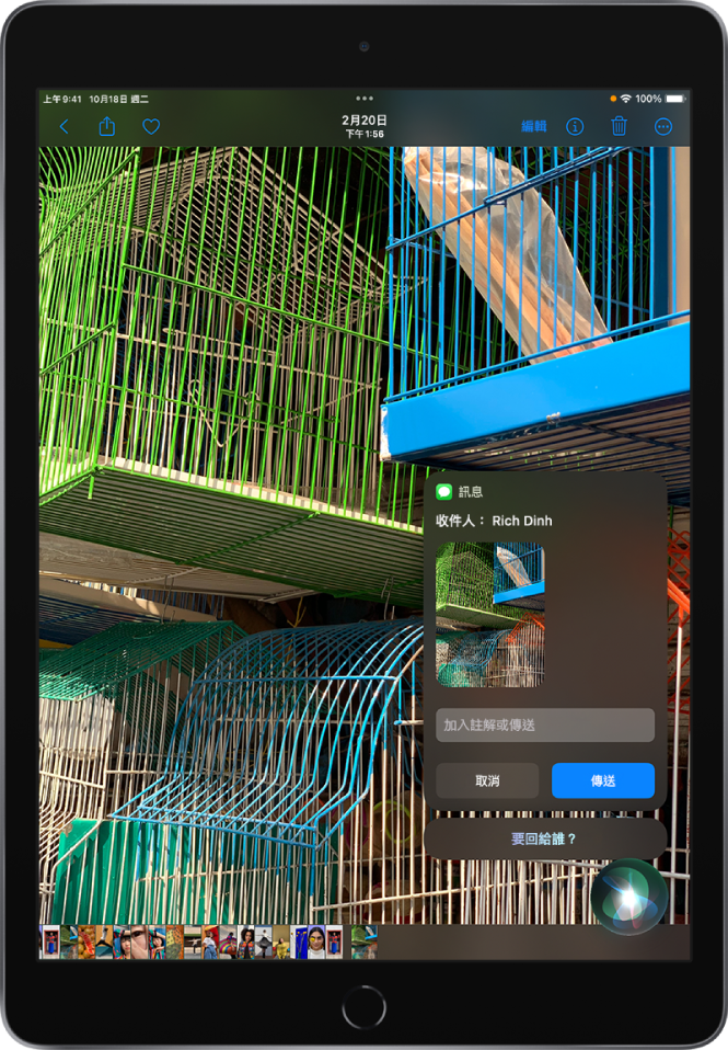 「照片」App 打開，顯示四個人的照片。照片的角落是寫給媽媽的訊息，「你想說什麼？Siri 按鈕位於未寫訊息的下方。