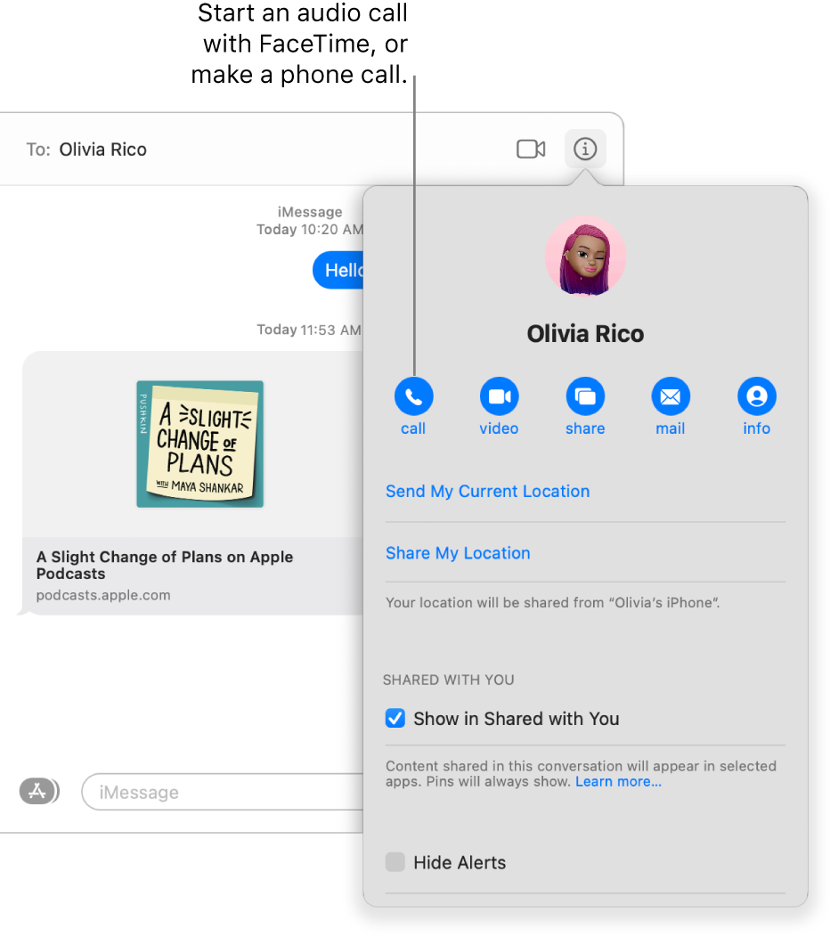 Details view, which appears after you click the Details button in a conversation. Use the call button on the left to start an audio call with FaceTime, or make a phone call.