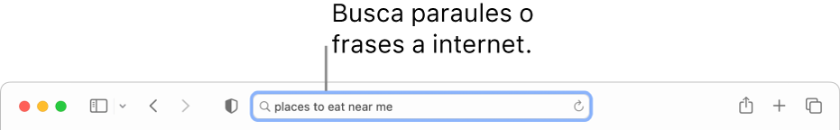 El camp de cerca intel·ligent del Safari, on pots introduir les paraules i frases que vols buscar a internet.