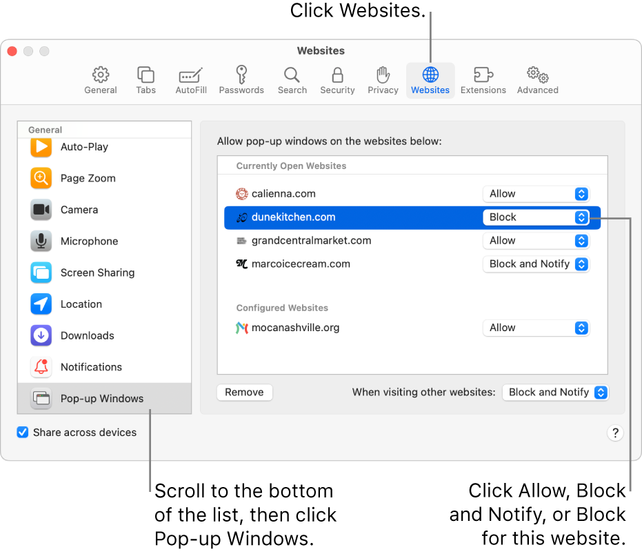 Safari settings for websites, with Pop-up Windows selected at the bottom of the sidebar and a currently open website selected.