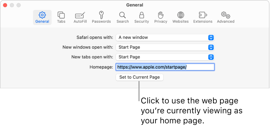 The General pane of Safari settings, with the Homepage field selected.