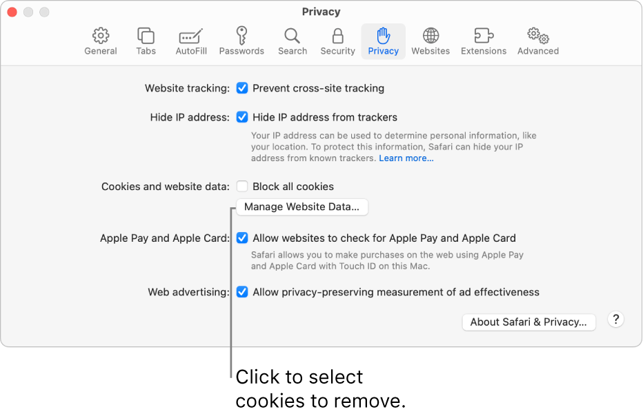 The Privacy pane of Safari settings.