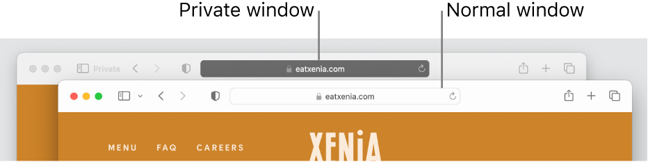 A private Safari window with its dark Smart Search field, and a normal Safari window with its light Smart Search field.