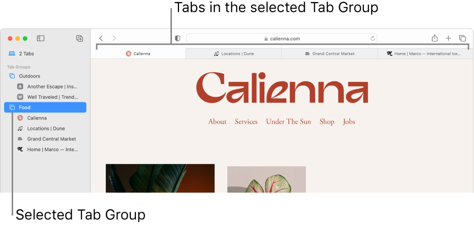 safari open links in tab group