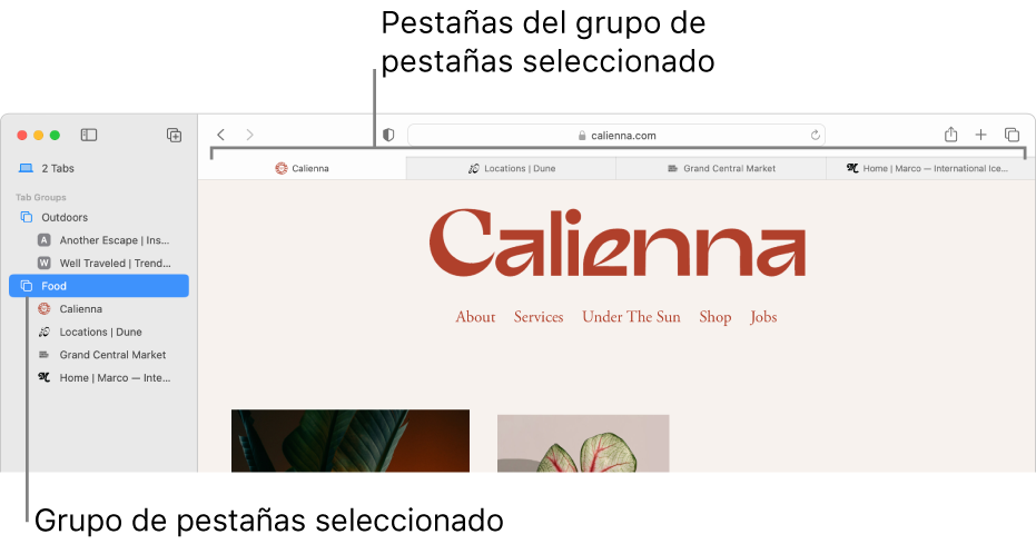 Una ventana de Safari mostrando la barra lateral con un grupo de pestañas seleccionado.