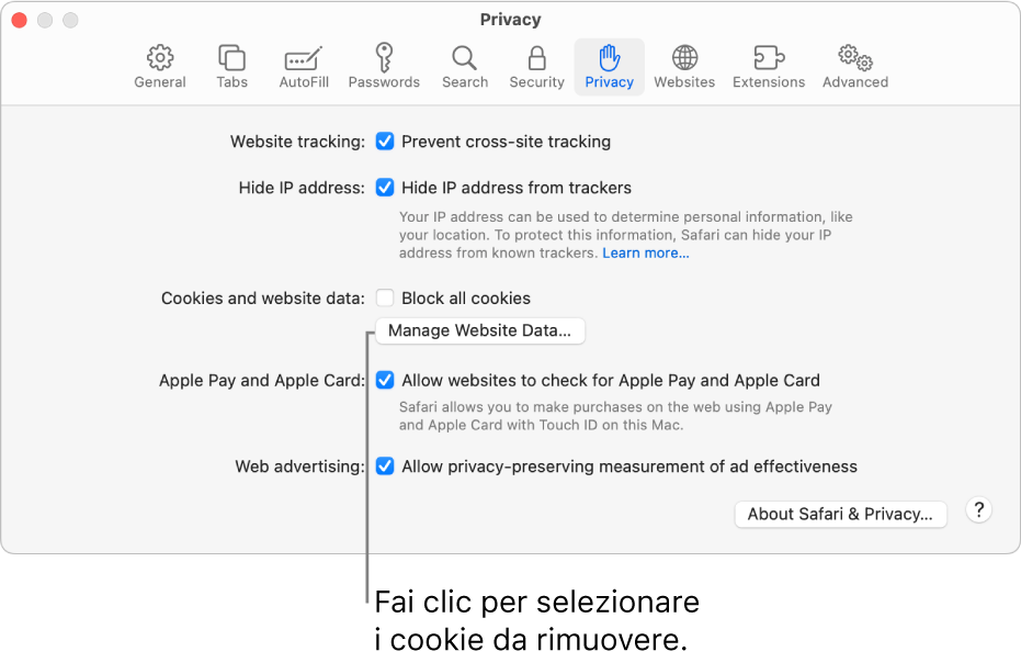 Il pannello Privacy delle impostazioni di Safari.