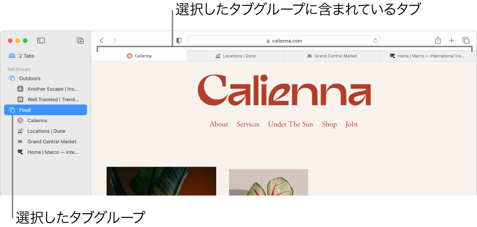 Safariウインドウ。サイドバーが表示されていて、「タブグループ」が選択されています。