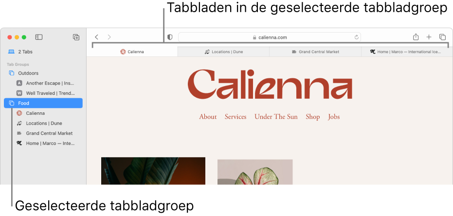 Een Safari-venster waarin in de navigatiekolom een tabbladgroep is geselecteerd.