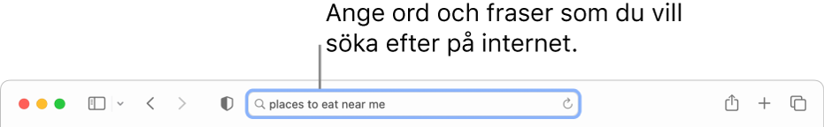 Safaris smarta sökfält där du kan ange ord och fraser att söka efter på internet.