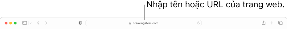 Trường Tìm kiếm thông minh, nằm ở giữa thanh công cụ Safari.